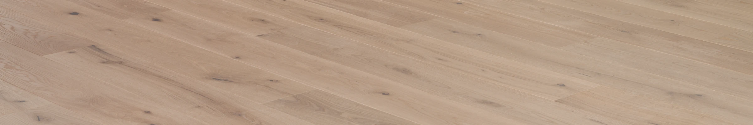 Rovere PH8