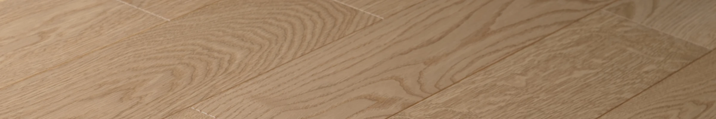 Rovere Coccinella