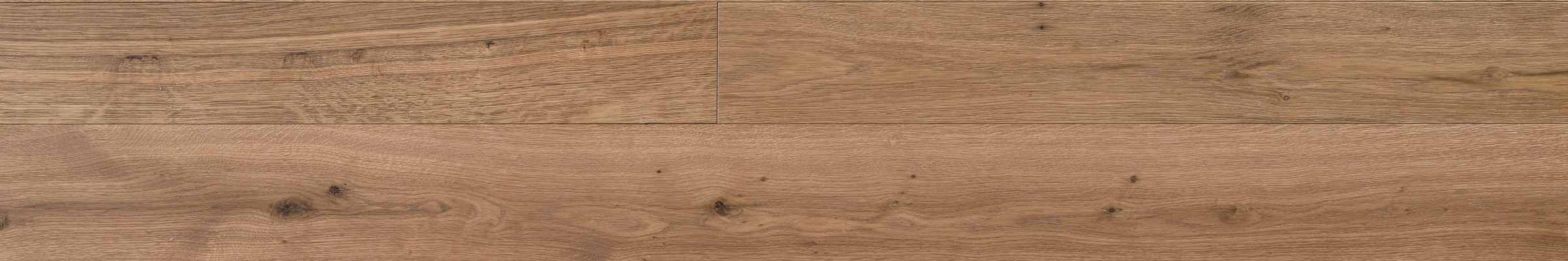 Rovere Vecchia Quercia